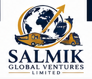 SALMIK Global Ventures Limited logo